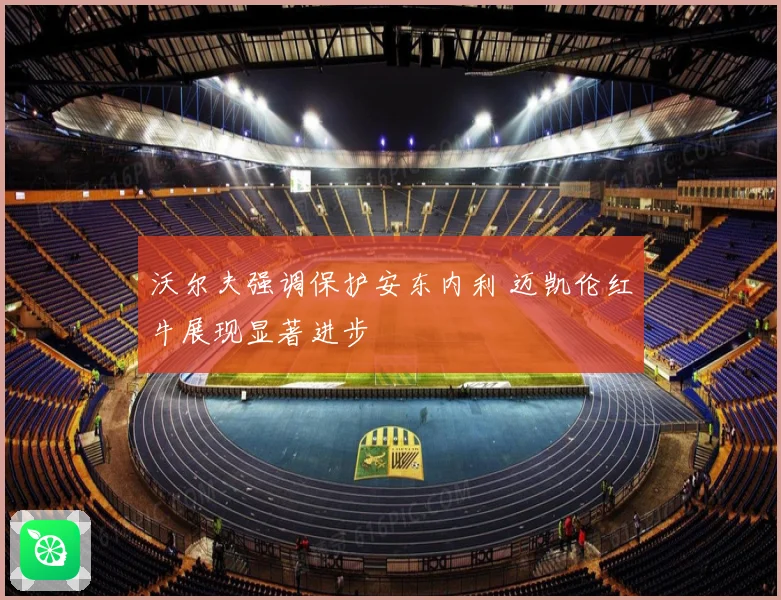 沃尔夫强调保护安东内利 迈凯伦红牛展现显著进步