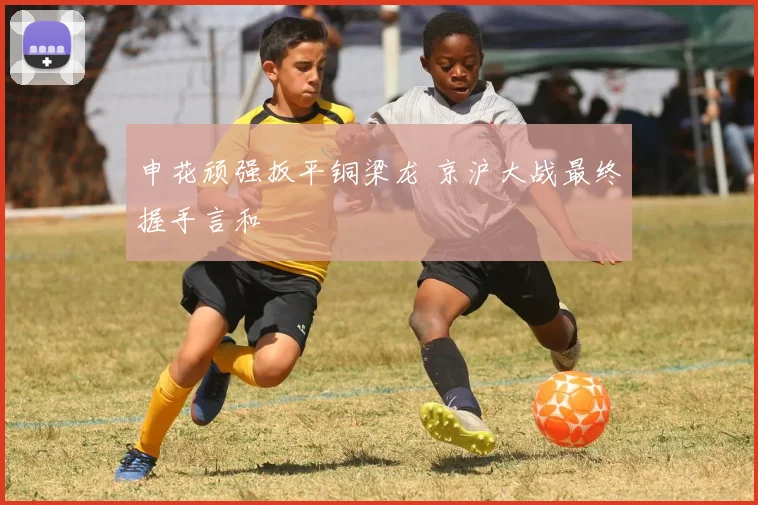 申花顽强扳平铜梁龙 京沪大战最终握手言和